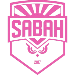 塞伊奈约基
